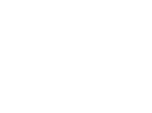 Vibe extended logo